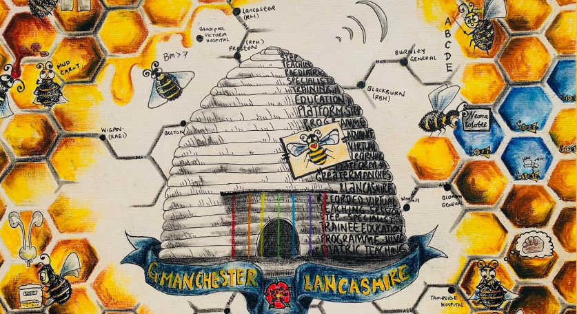 Beehive graphic showing Greater Manchester Lancashire hospitals