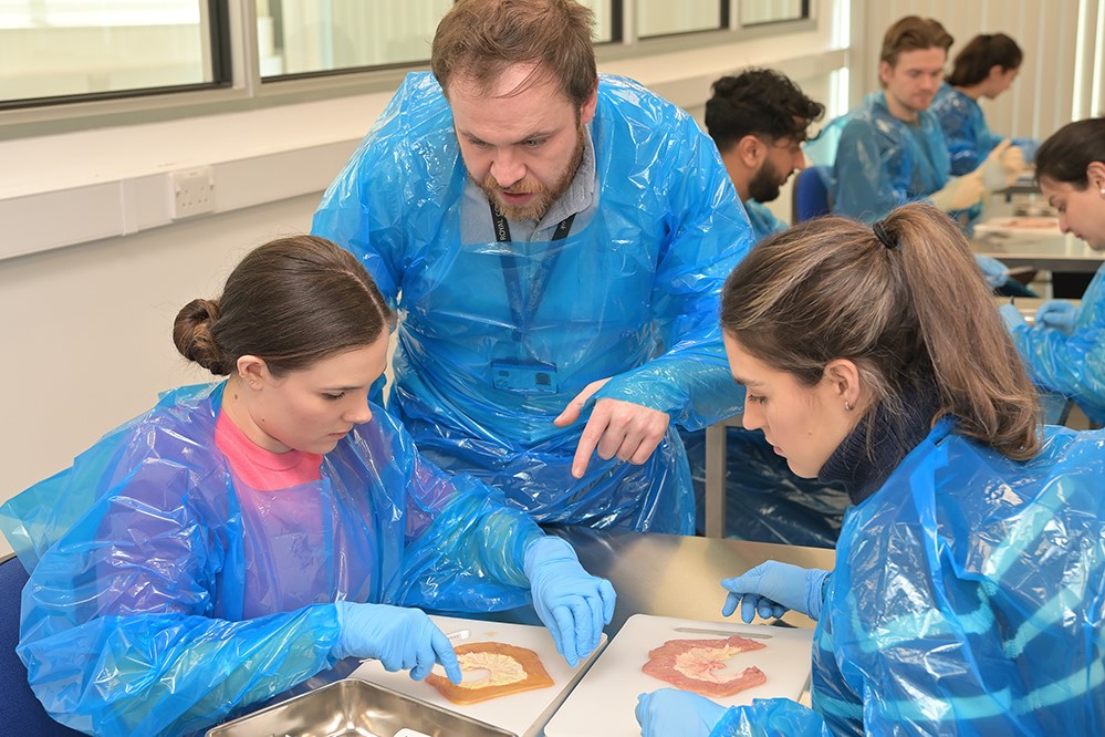 Six doctors learning surgical skills, with one teacher shown. All are wearing blue plastic see through gowns and other PPE