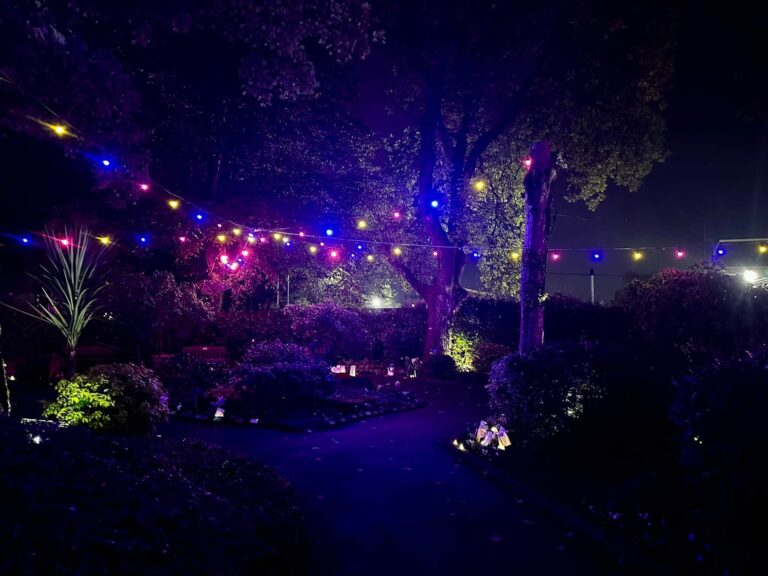 Bolton's Baby Memorial Garden lit in multi-coloured lights for Wave of Light